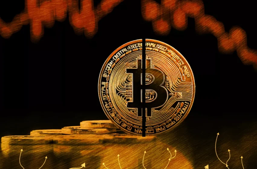  Что ждет биткоин после падения?