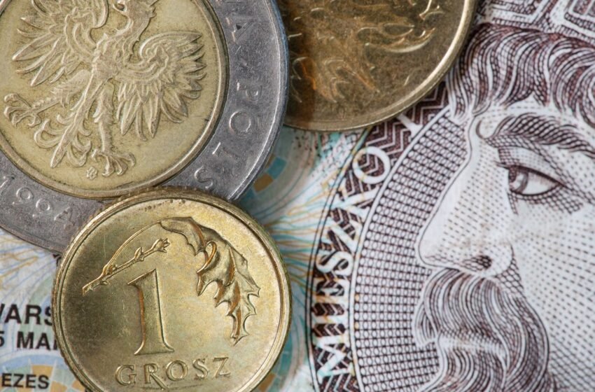  Офіційний курс злотого досяг нового рекорду