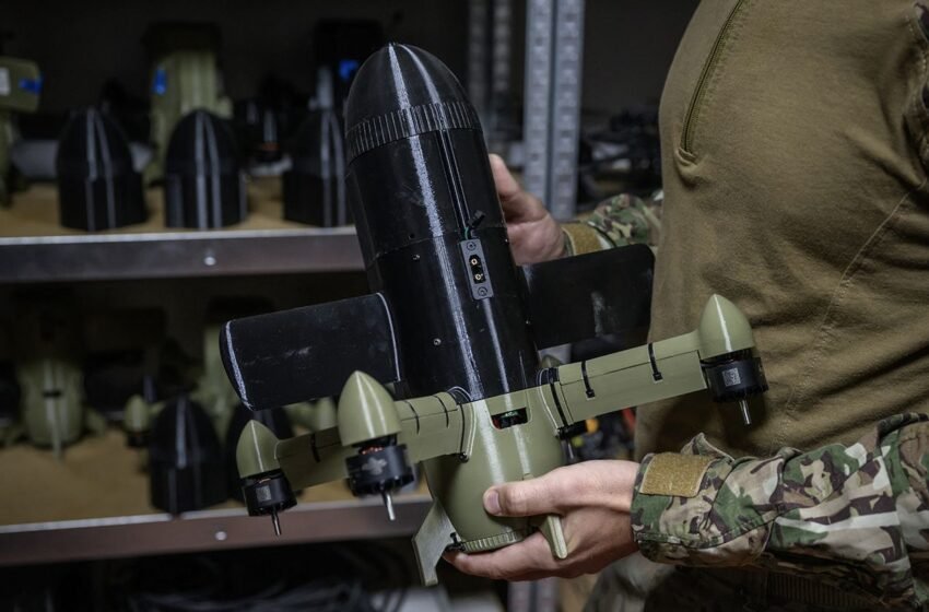  Обороняв Київ та Зміїний з неба: хто командуватиме “малою” ППО України