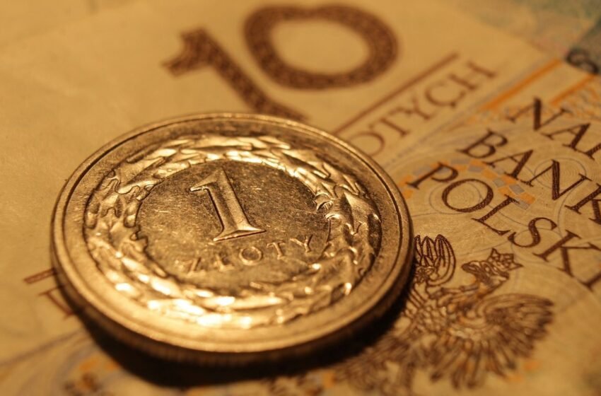  Вартість злотого знову сягнула рекорду. Який курс встановив НБУ