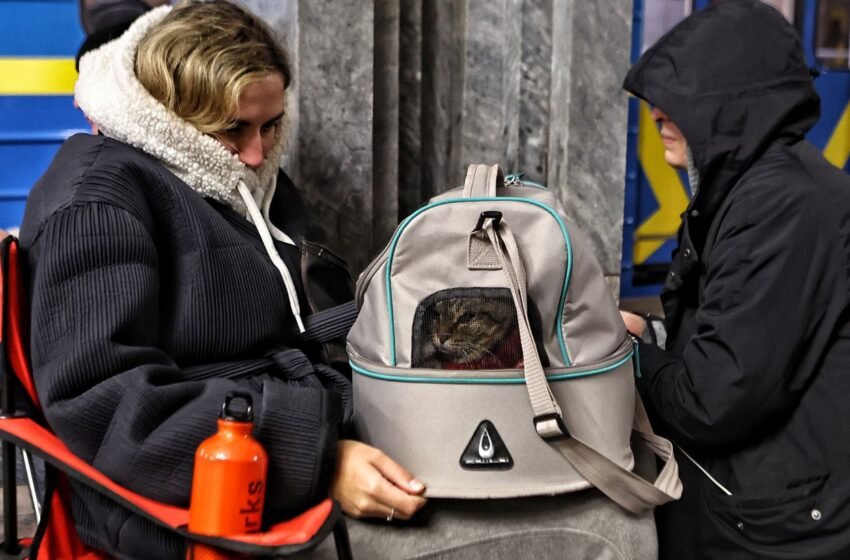  У Києві вдруге за ніч оголошено повітряну тривогу: загроза ударних дронів