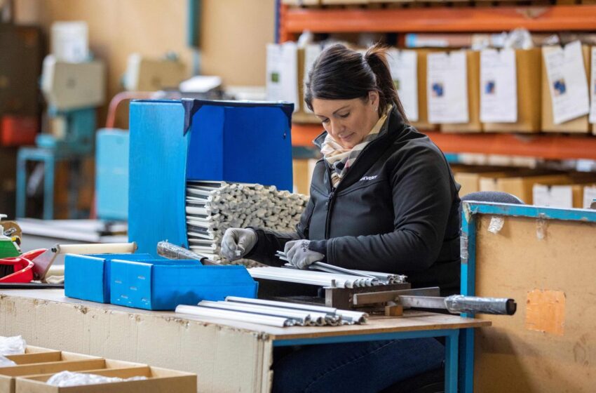  Ринок праці: хто очікує скорочення працівників, а хто – збільшення