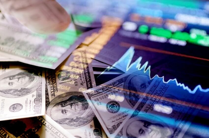  Долар чи євро? Що відбувається з курсом зараз і яку валюту краще обрати для збережень
