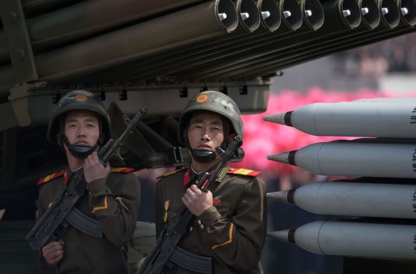  В Японії розкрили, чому солдати КНДР вчаться у війні проти України