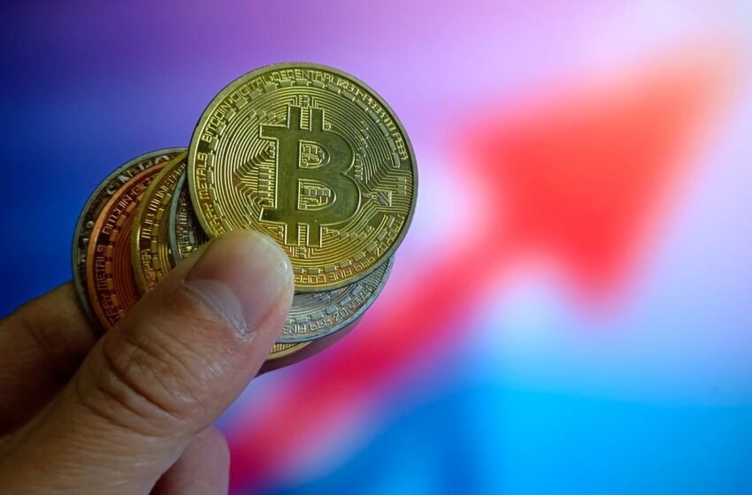  Біткоїн впав на 20%: Reuters дав прогноз про майбутній курс криптовалюти