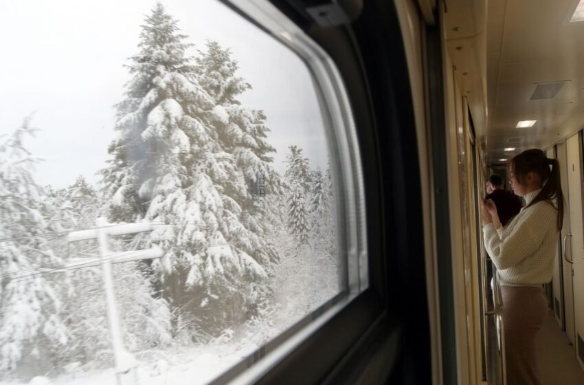  Збитки УЗ в сфері пасажирських перевезень зросли до 22 млрд грн: експерти запропонували вихід