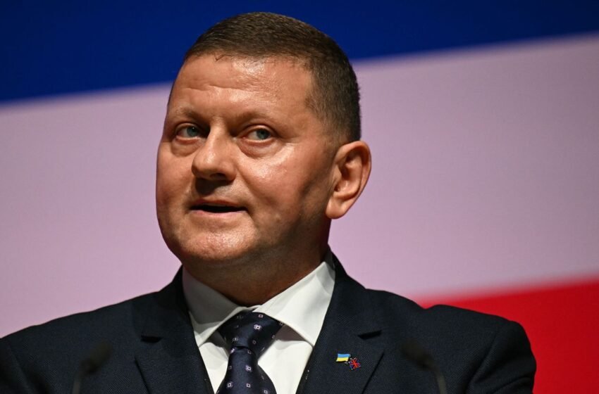  Залужний зробив заяву про політичну кар’єру