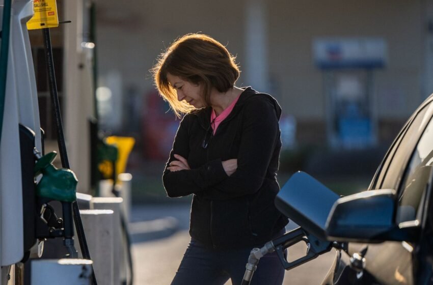  В Україні запрацював “паливний” кешбек: як отримати гроші і коли вони надійдуть