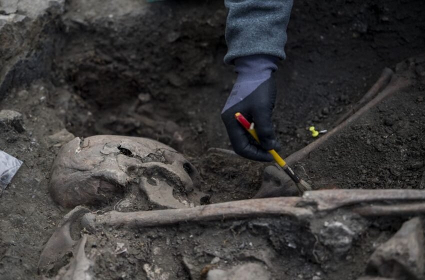  На Рівненщині закінчили розкопки: чи знайшли жертв Волинської трагедії