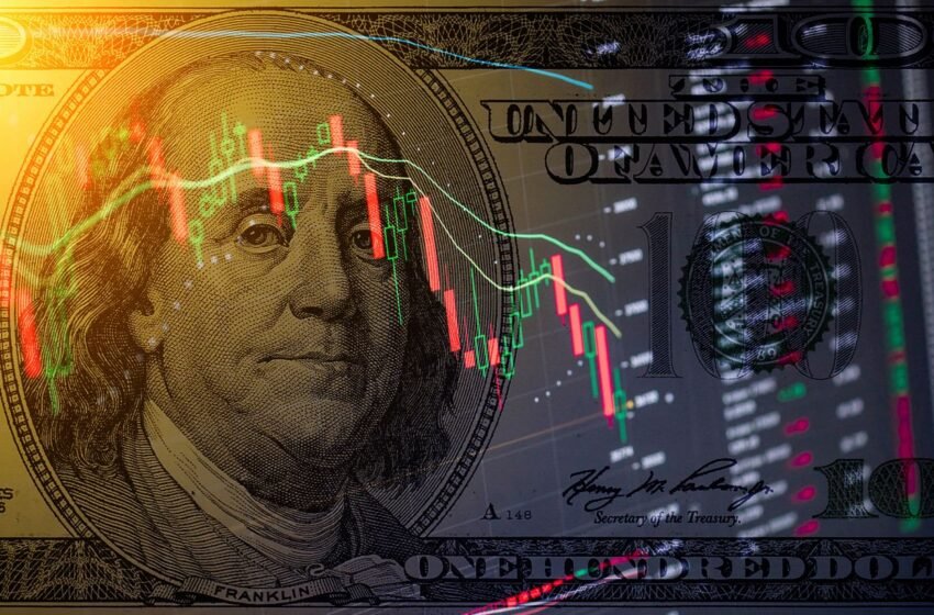  Долар тримається вище 44 гривень: актуальний курс в обмінниках та банках на 24 березня