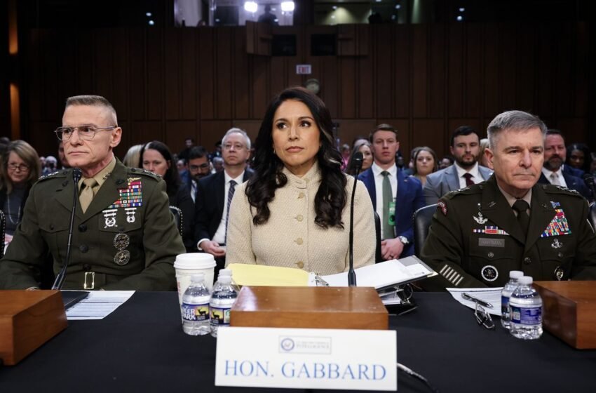  Голова розвідки США пропустила незручний факт про Іран на слуханнях у Сенаті