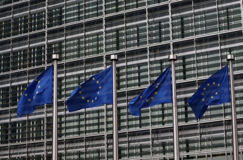  Окремі країни просять Україну “почекати” вступу в ЄС 10-20 років, – Качка