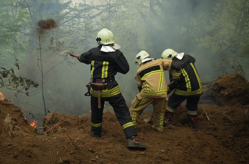  Вогонь в лісі не вщухає: на Закарпатті залучили нові сили, прокуратура відкрила справу