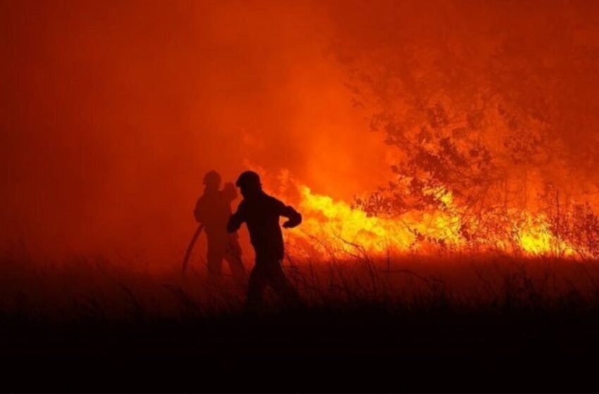  Масштабні пожежі охопили Францію: горять десятки тисяч гектарів лісу, людей евакуюють