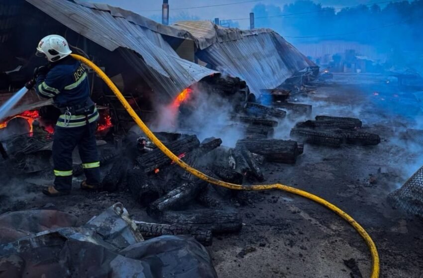  Під Києвом сталася пожежа у притулку для тварин, загинули собаки