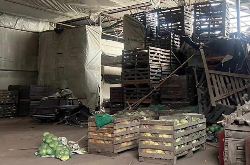  РФ завдала удару по овочесховищу на Харківщині: 6 загиблих та понад 10 поранених